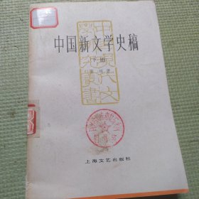 中国新文学史稿下册