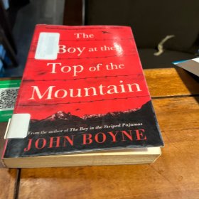 英文原版小说 the boy at the top of the mountain