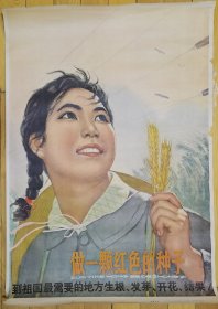 XDHZ/4.20 做一颗红色的种子 1964年8月初版