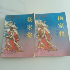 杨家将 上下