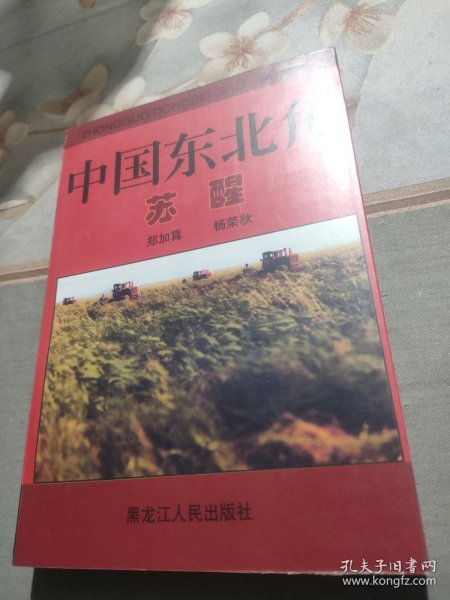 中国东北角 苏醒