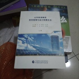 山东能源集团财务管理与会计核算办法（上册）