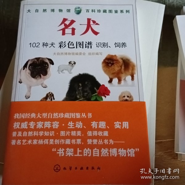 名犬