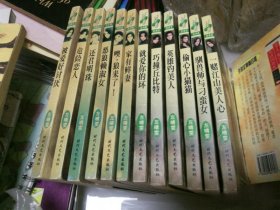 左晴雯 大东邦 小东邦共12册