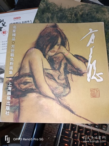 方世聪色粉画集—名家精品