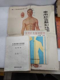 人體經絡穴位掛圖說明書、實用針灸解剖掛圖說明書（含掛圖12張）