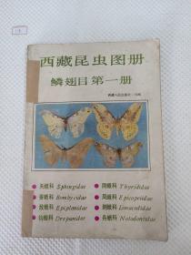 西藏昆虫图册