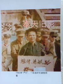 ：1983年“严打”