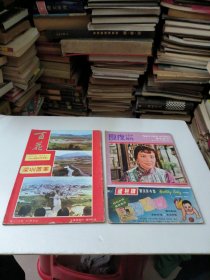周刊杂志2本