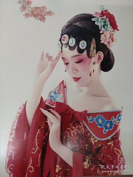 美女艺术照片–枫林晚系列合集(26页)24041754