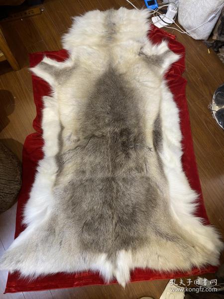 芬兰进口 整张 驯鹿皮
毛厚，皮质松软 厚实
最长处大概168厘米