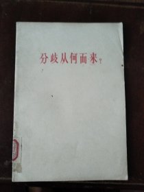 分歧从何而来？