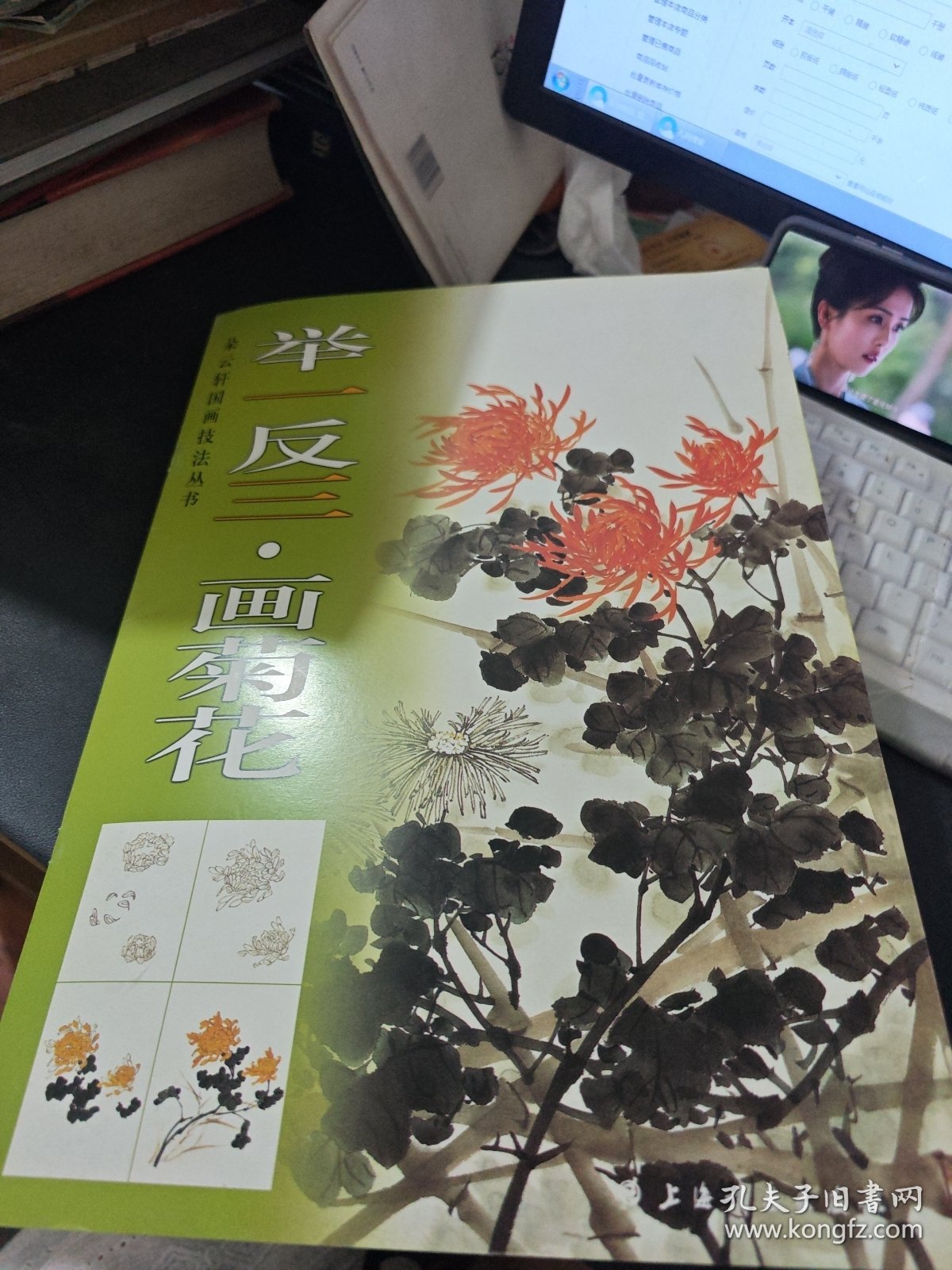 举一反三：画菊花