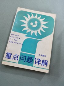 重點問題詳解小學數(shù)學