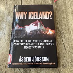 Why Iceland?[为何是冰岛]