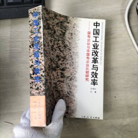 中國工業(yè)改革與效率 國有企業(yè)與非國有企業(yè)比較研究、、