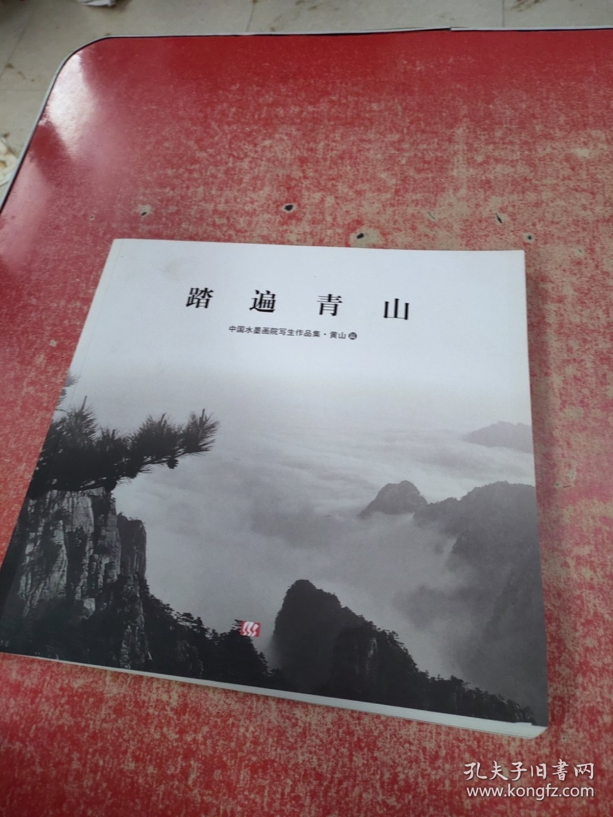 踏遍青山——中国水墨画院写生作品集·黄山篇