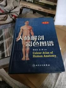 人体解剖彩色图谱