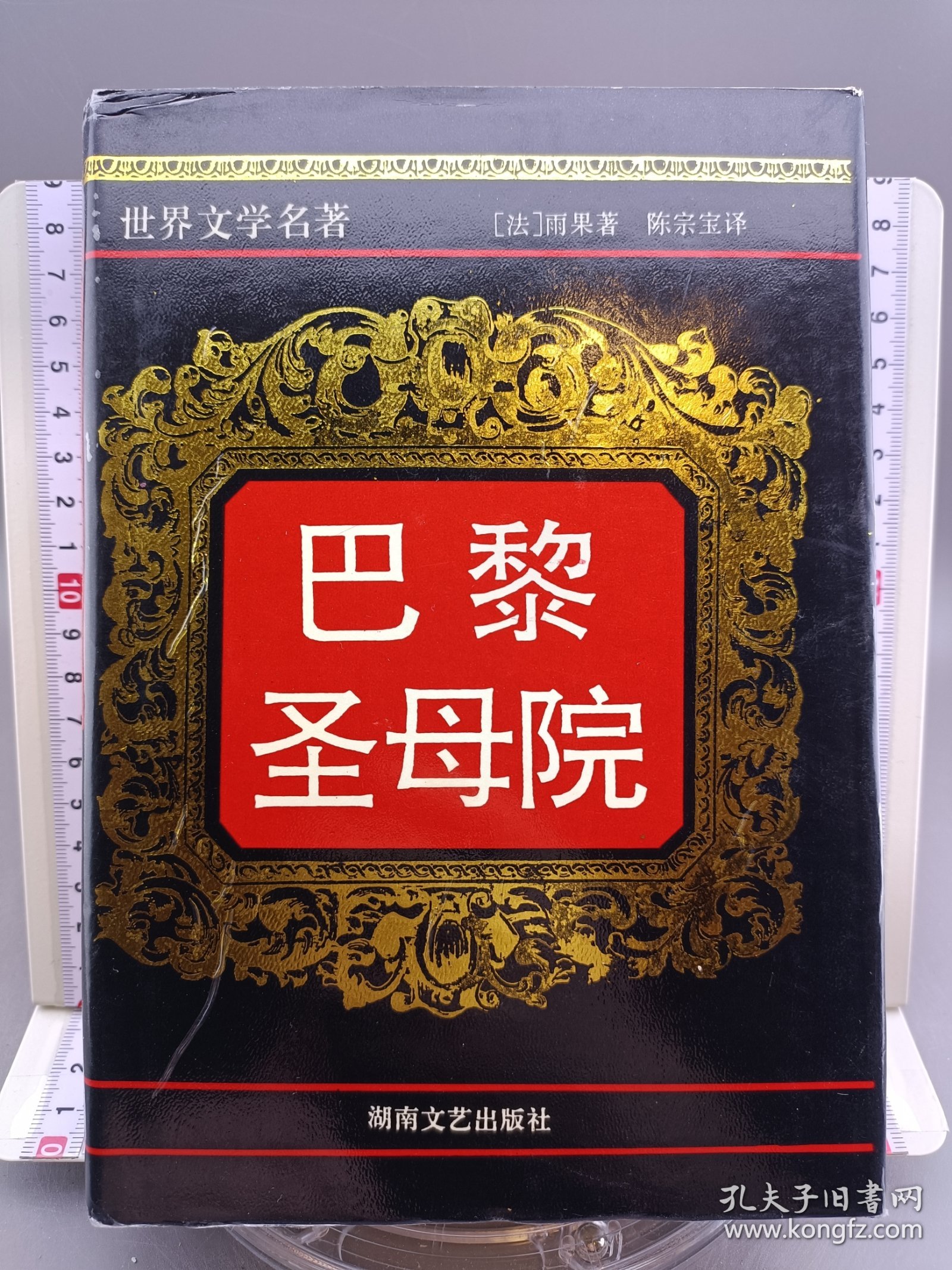 巴黎圣母院 世界文学名著