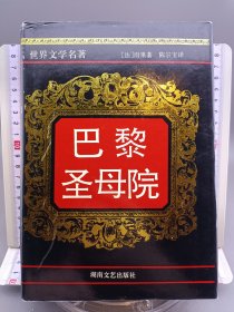 巴黎圣母院 世界文学名著