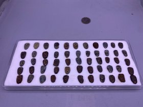 楚国蚁鼻钱55枚，尺寸1.5-1.7厘米，品相如图，1500包快递