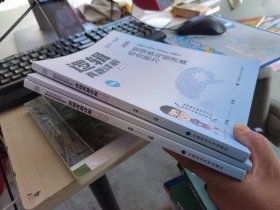 2025版 MBA MPA MPAcc MEM管理类与经济类综合能力逻辑真题详解 2025(全3册) 李焕 编