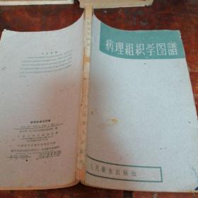 病理组织学图谱（1961年老版本）