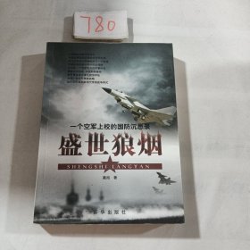 盛世狼烟：一个空军上校的国防沉思录