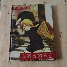 灰羽毛的天空