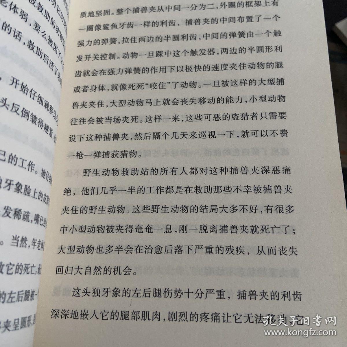 独牙象葬礼/动物小说大王沈石溪·野生动物救助站