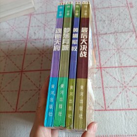 中国解放战争报告文学丛书：魂断天府、梦落月城、黄埔军校、最后大决战 全4册 合售