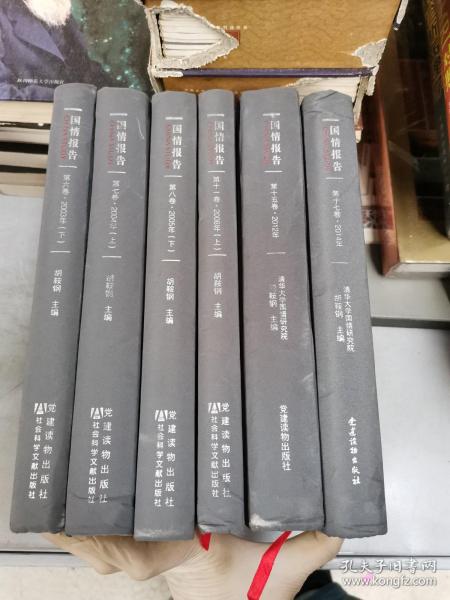 国情报告 :第六卷2003年下册 ，第七卷2004年上册，第八卷2005年下册，第11卷2008年上册，第15卷2012年，第17卷2014年【共六册】【满30包邮】