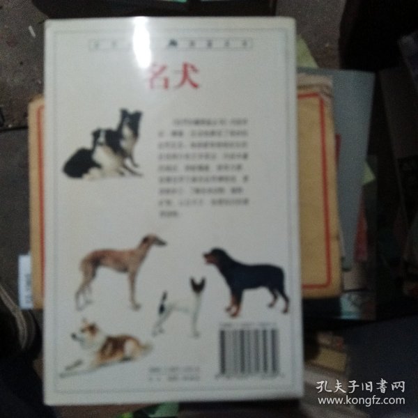 名犬：全世界300多种名犬的彩色图鉴