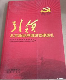 引领 北京新经济组织党建巡礼