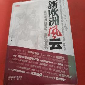 欧洲新战场全传：新欧洲风云（欧洲诸国的崛起、衰落和复兴）