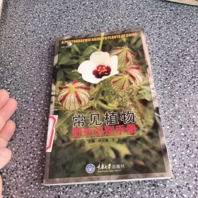 常见植物野外识别手册