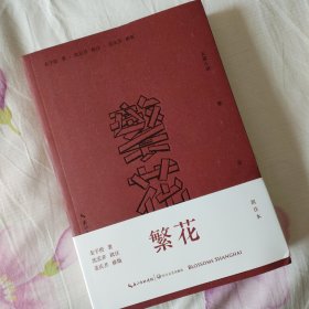 繁花（批注本）茅盾文学奖获奖作品，独特批注版本，王家卫导演同名剧集原著