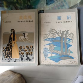 黄玫瑰 魔沼 （外国抒情小说选）（包邮）