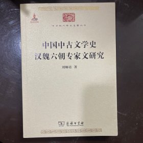 【全新未翻阅】中国中古文学史 汉魏六朝专家文研究