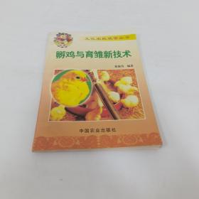 孵鸡与育雏新技术