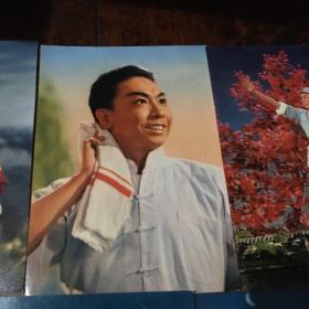 现代革命京剧：沙家浜彩色图歌词歌曲卡片（全套17张）