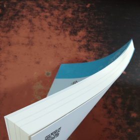 我们和你们:中国和哈萨克斯坦的故事(汉)