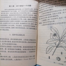 怎样识别植物