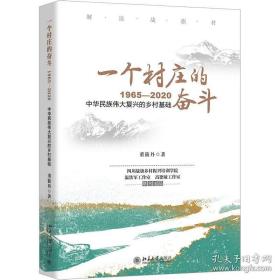 一个村庄的奋斗:1965—2020