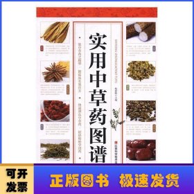 实用中草药图谱