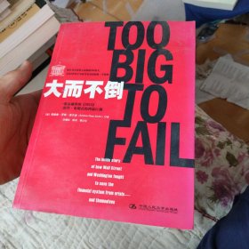 大而不倒：2010年全球政要和首席执行官争相阅读的金融危机启示录