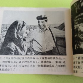 燕归来
