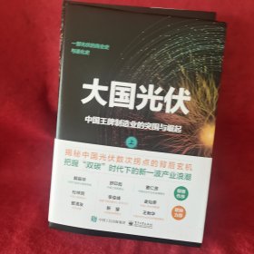 大国光伏：中国王牌制造业的突围与崛起（上、下）