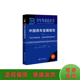 青年发展蓝皮书：中国青年发展报告NO.4