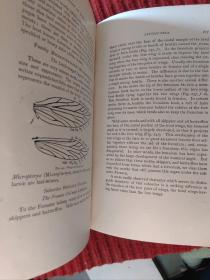 A Manual For The Study Of Insects (1895)【金陵大学馆藏。藏书票一枚】